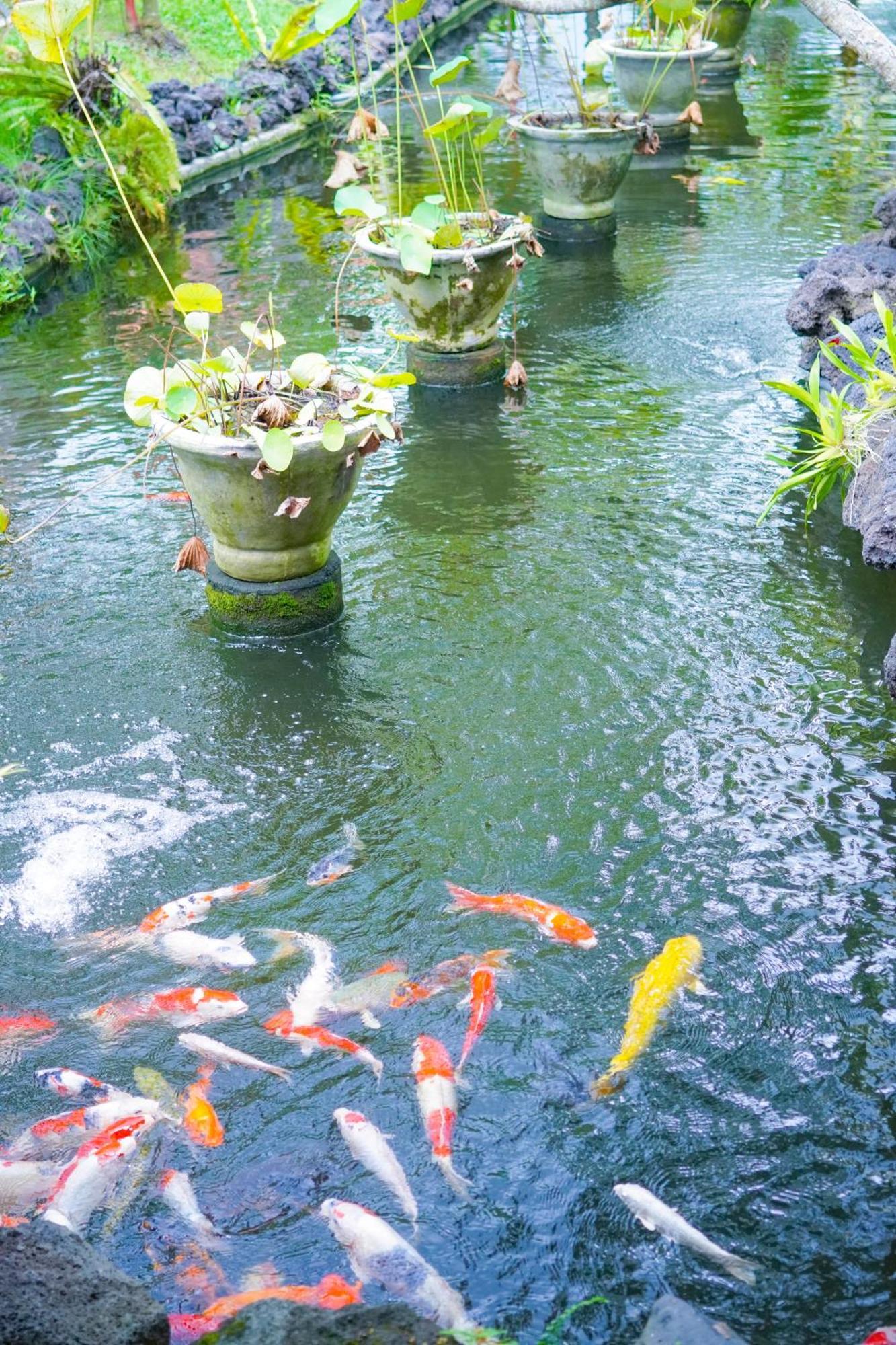 Bije Suite Villa Ubud Eksteriør bilde